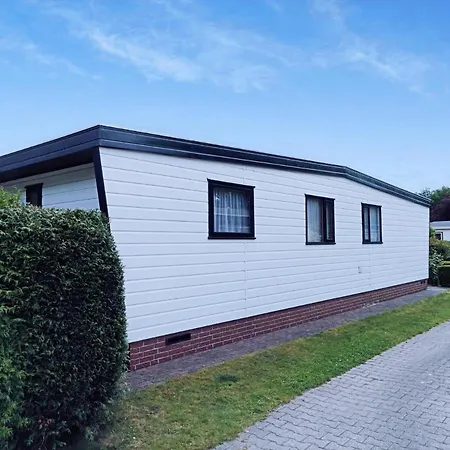 Chalet Drenthe: Tranquil Forest Retreat Schoonloo Exterior photo